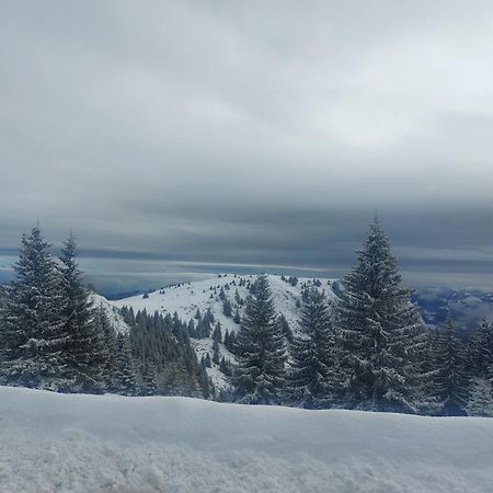 Apartman Milly Kopaonik Extérieur photo