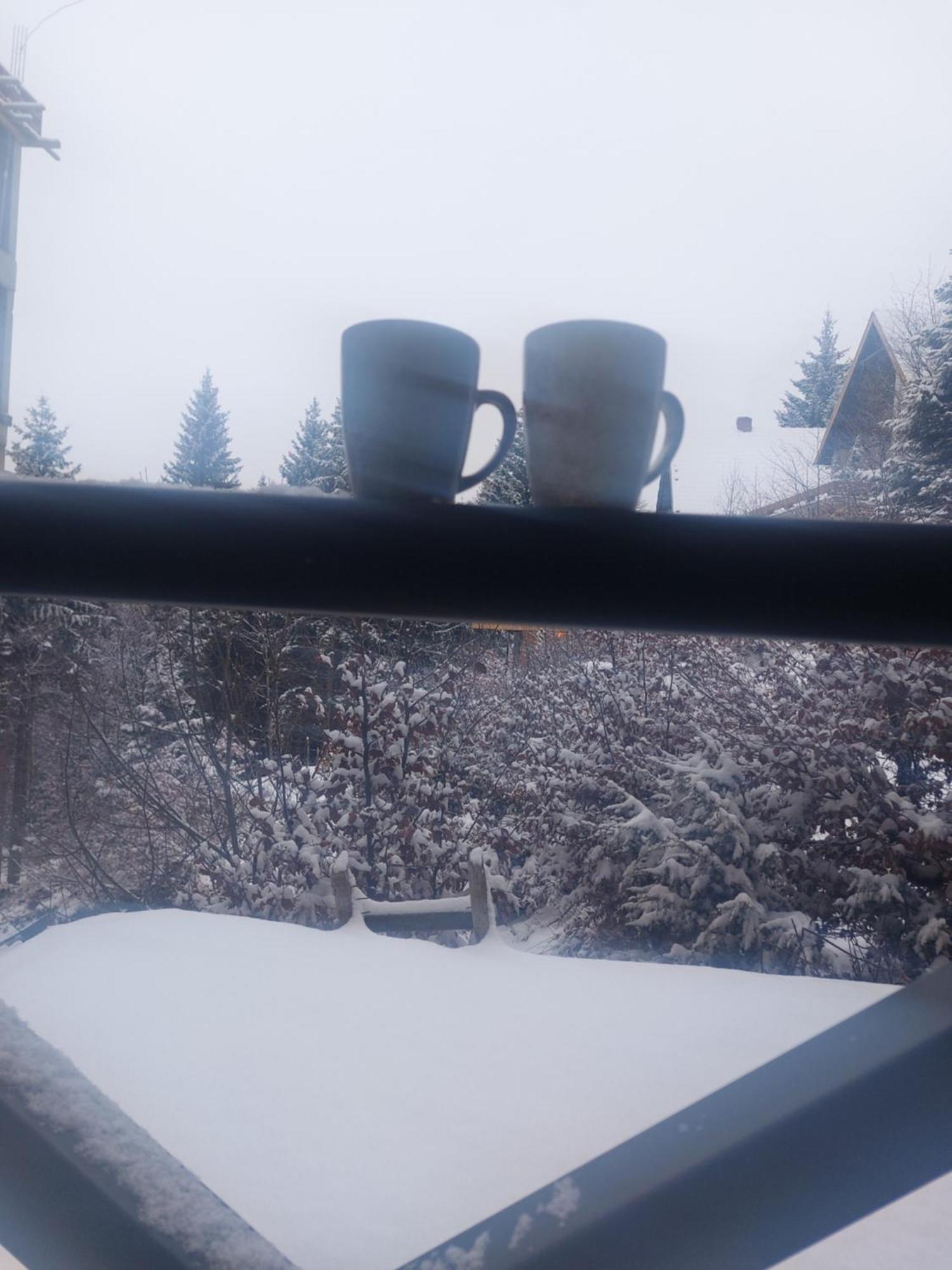 Apartman Milly Kopaonik Extérieur photo